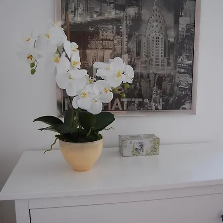 Live In Apartament Abrantes