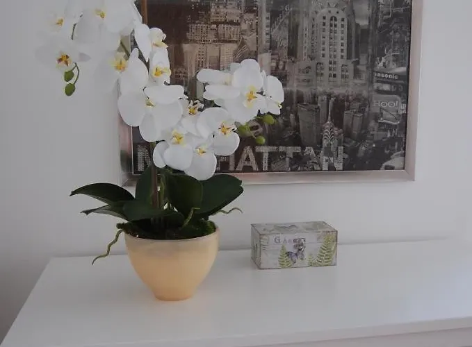 Live In Apartament Abrantes